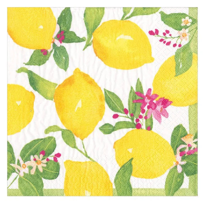 Paper Cocktail Napkins - 20 per Package