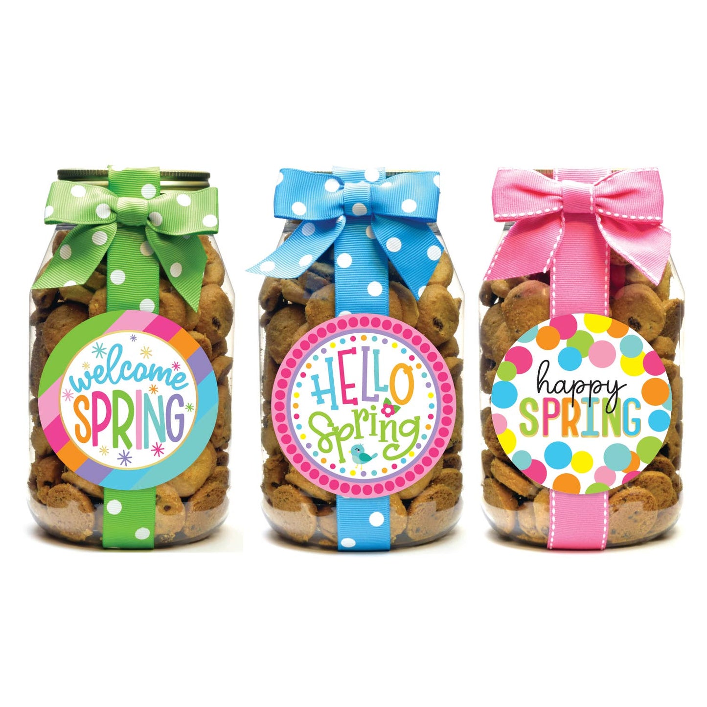 Cookie Quart Jars - Spring