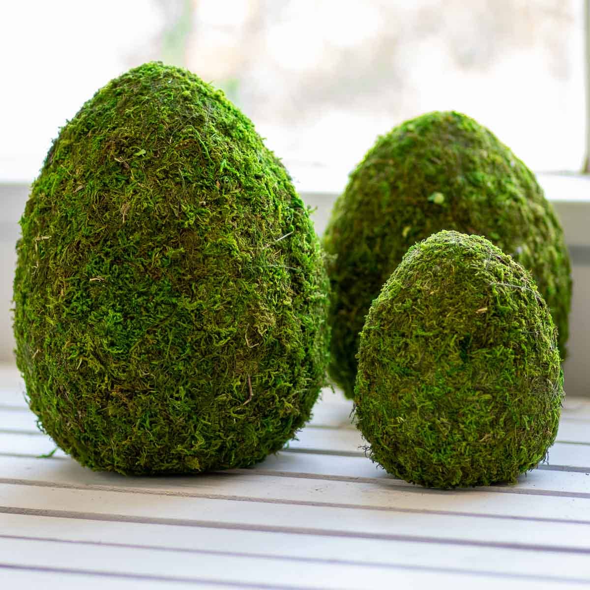 Moss Egg 6.5"