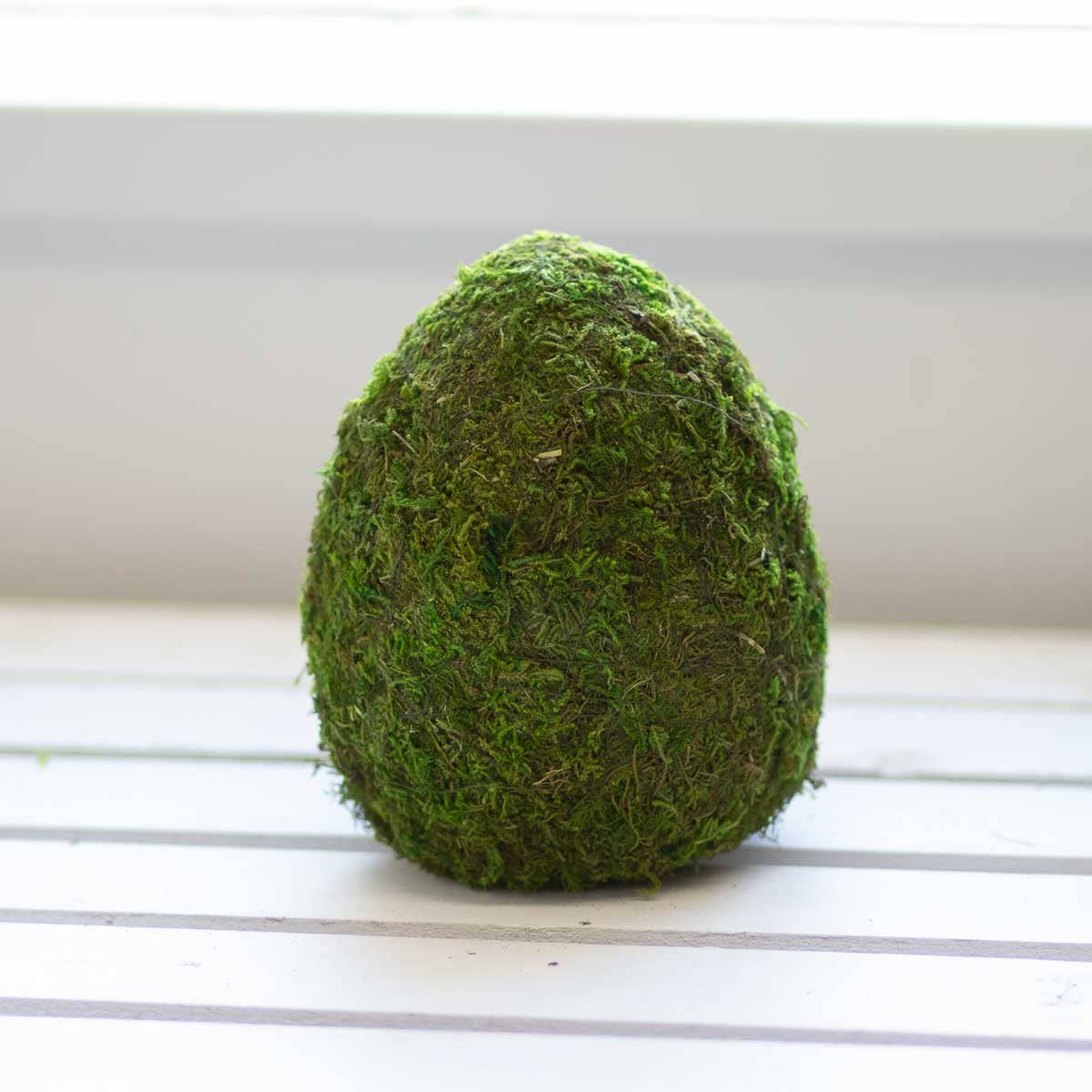 Moss Egg 6.5"