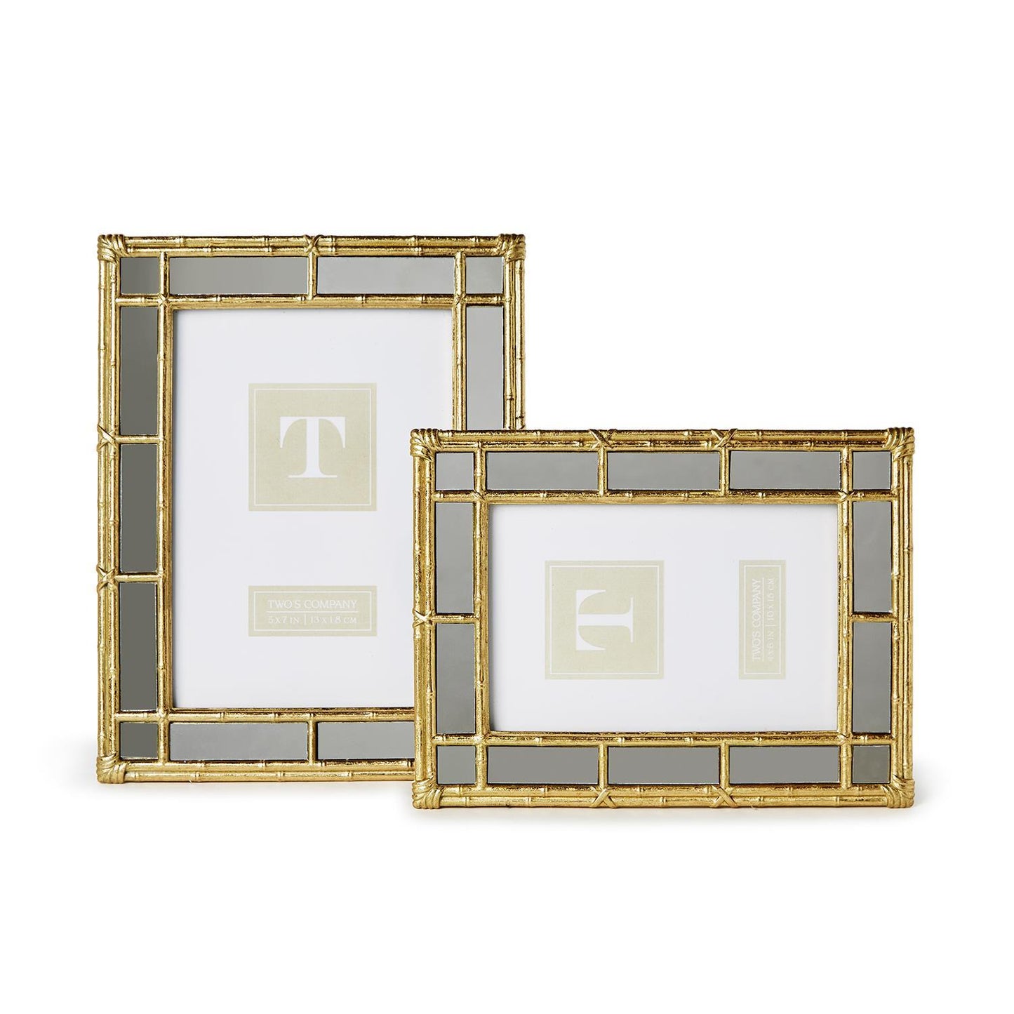Mirrored Gold Bamboo Frame