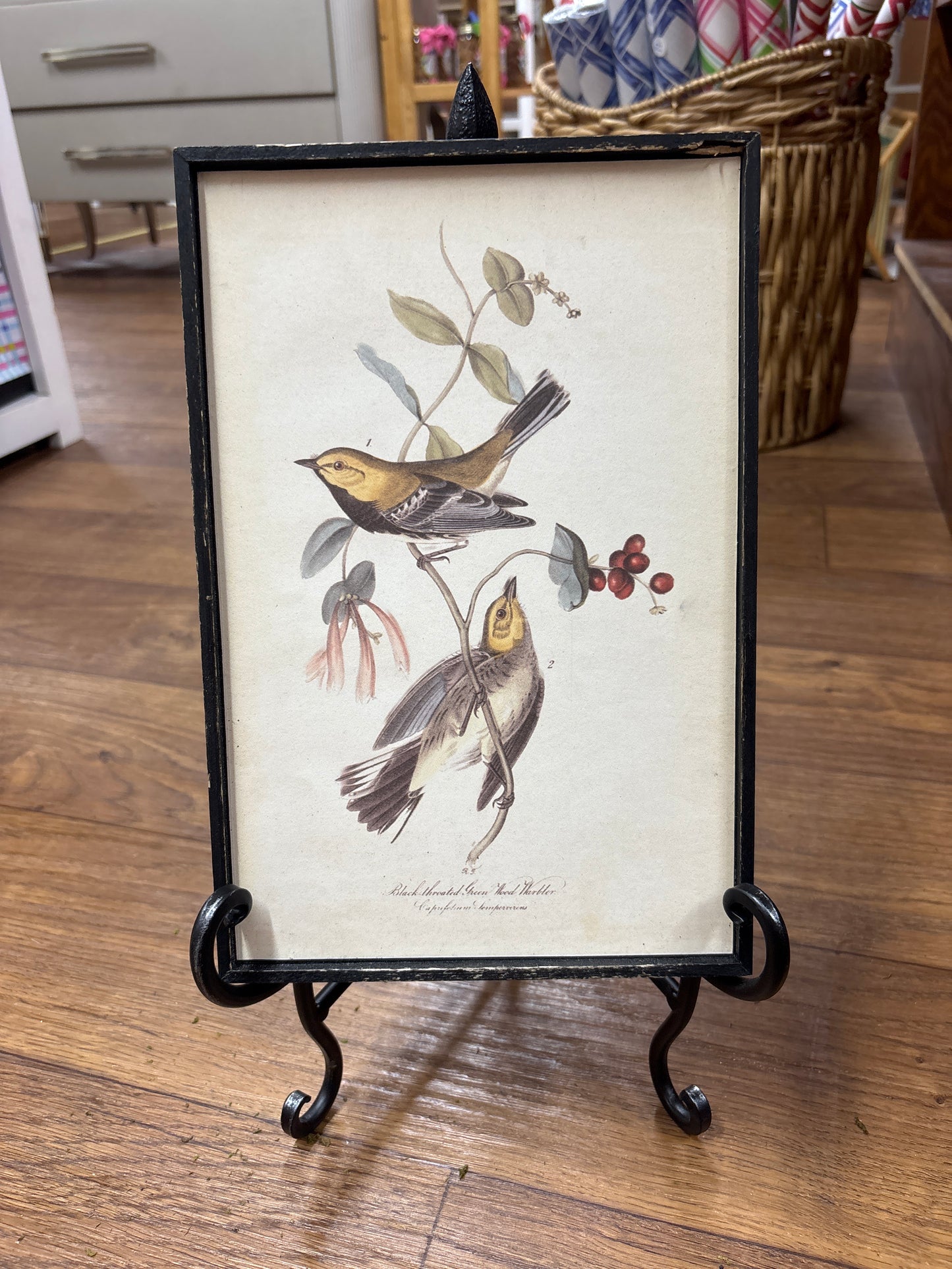 Vintage Bird Artwork