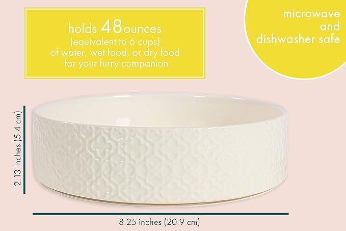 Kendra Scott Large Dog Bowl, Microwave and Dishwasher Safe, 48 Oz