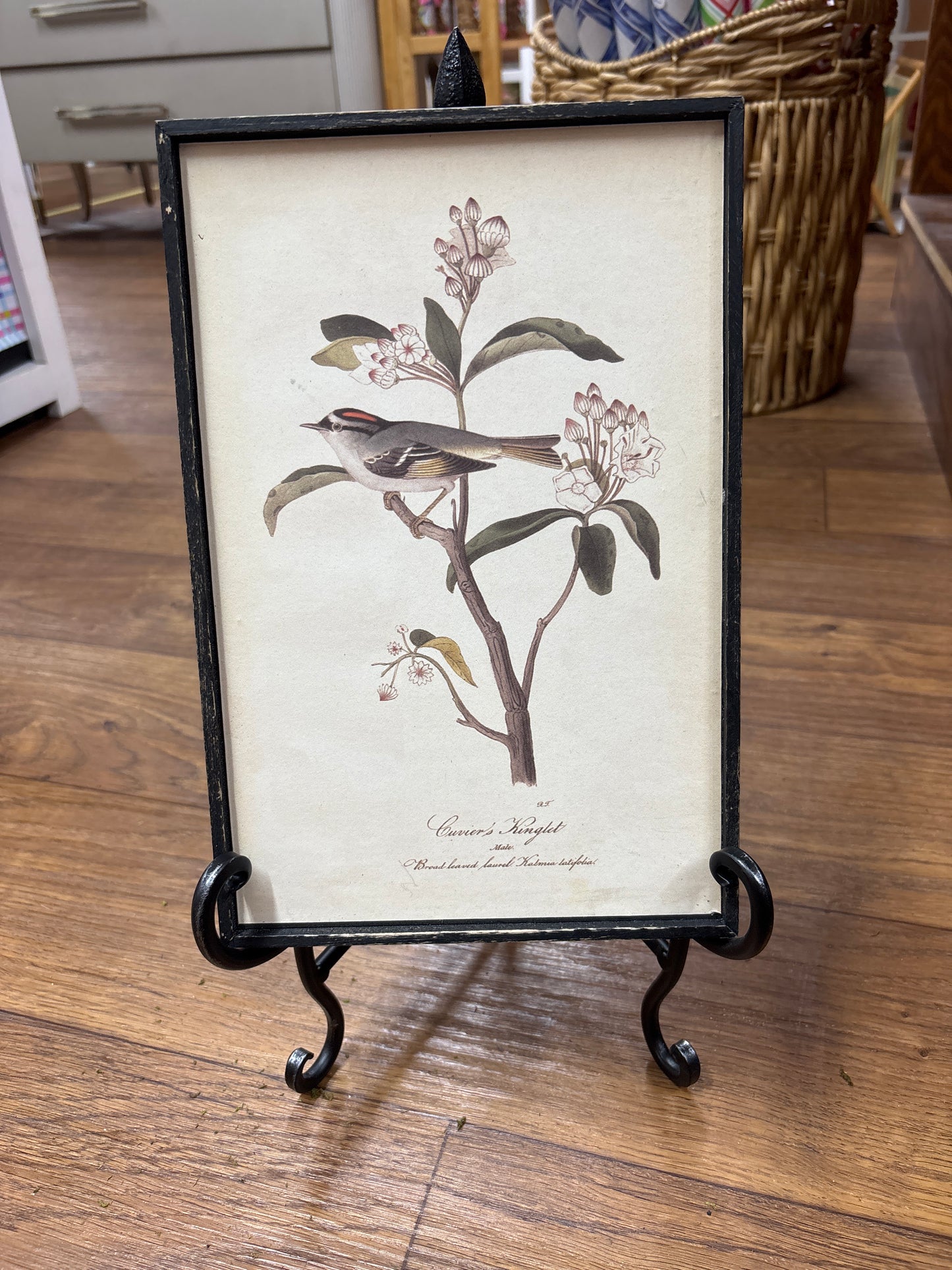 Vintage Bird Artwork