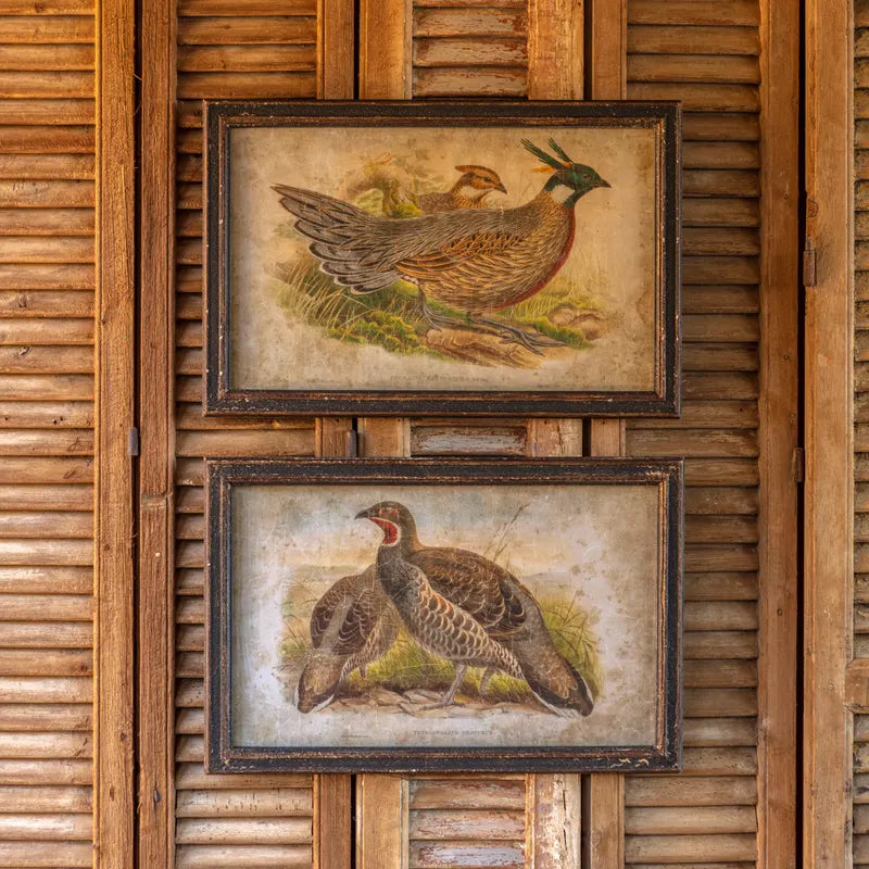 Framed Phesant Prints