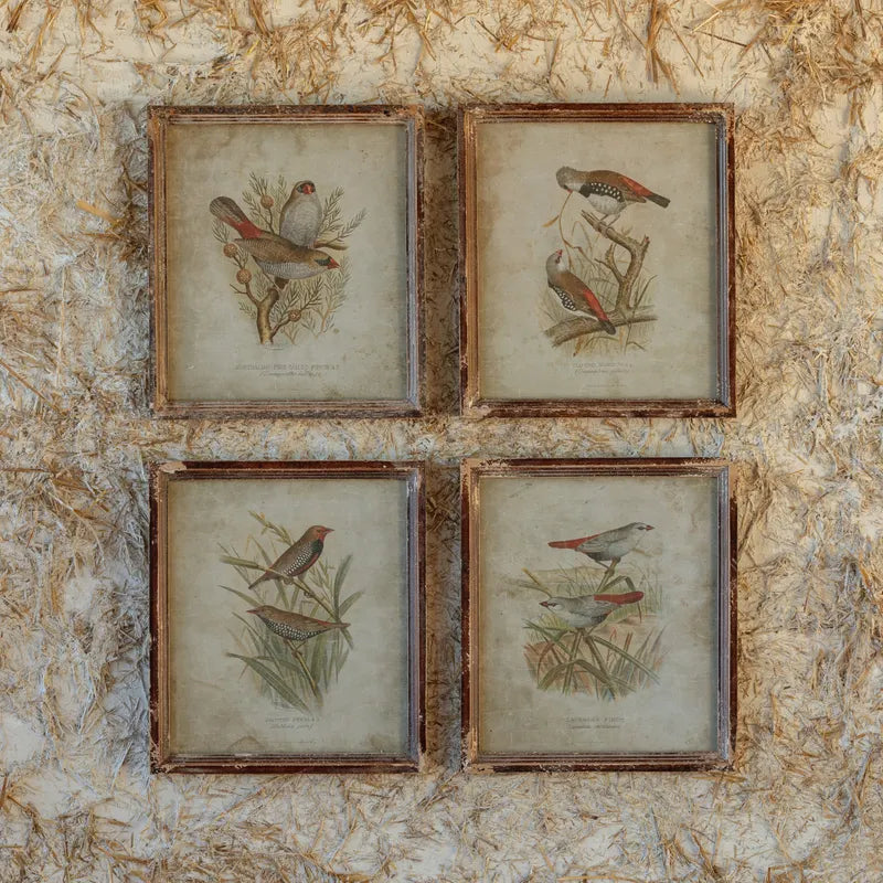 Birds In The Field Prints