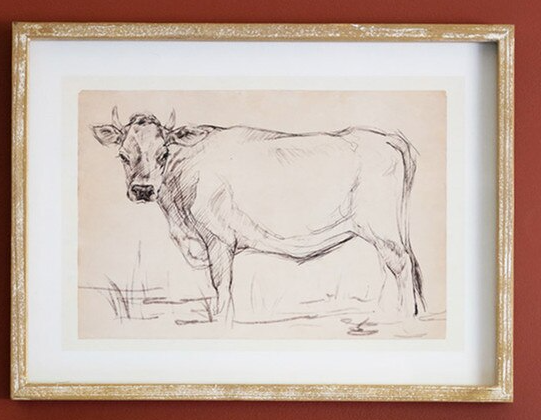 Framed Cow Prints
