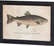 Framed Trout Prints