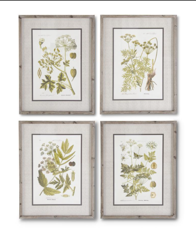 Fir Wood Framed Botanical Prints