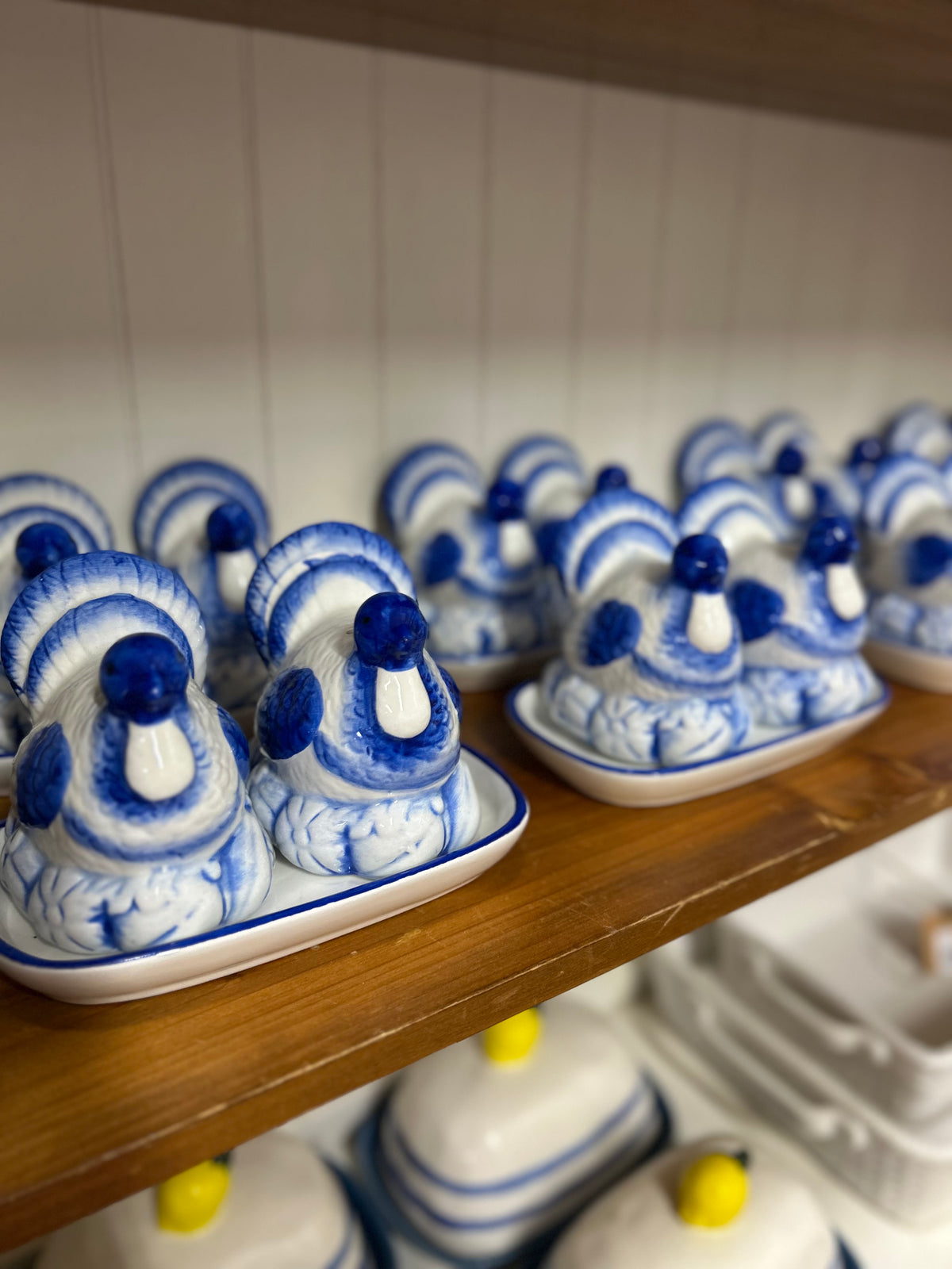 Blue & White Turkey Salt & Pepper Set with Tray
