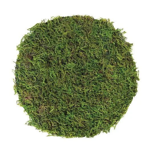 Moss Placemats