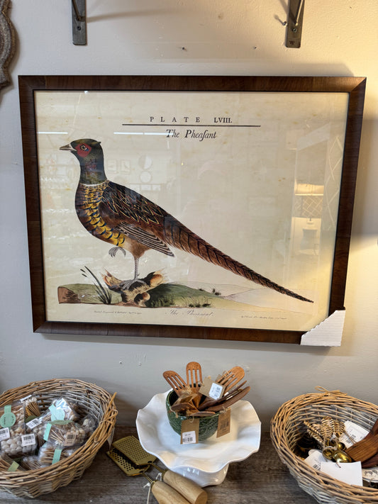 Large Pheasant Print