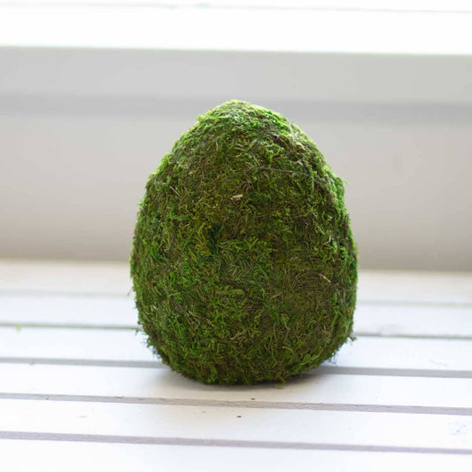 Moss Egg 6.5"