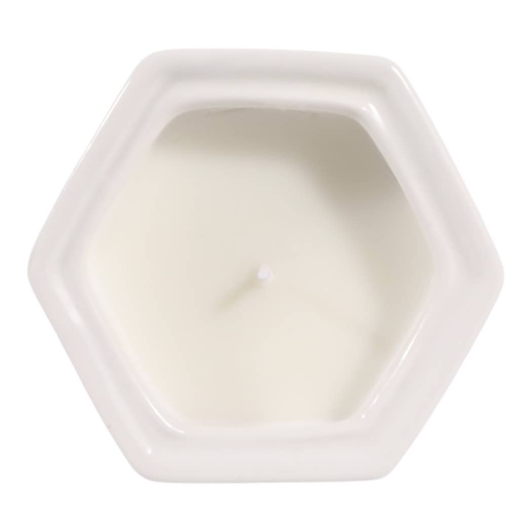 6 oz Brown Cermaic Sage & Eucalyptus Candle