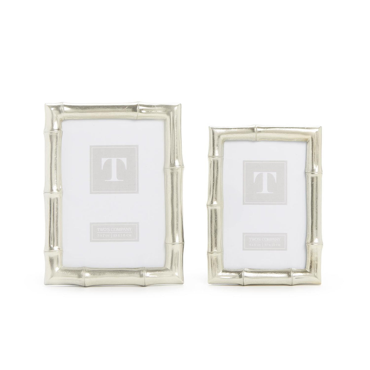 Two’s Company Silver Bamboo Frame