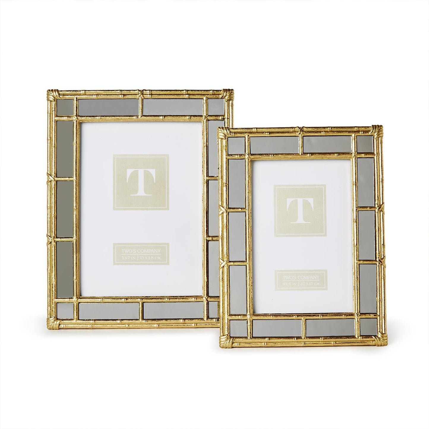 Mirrored Gold Bamboo Frame
