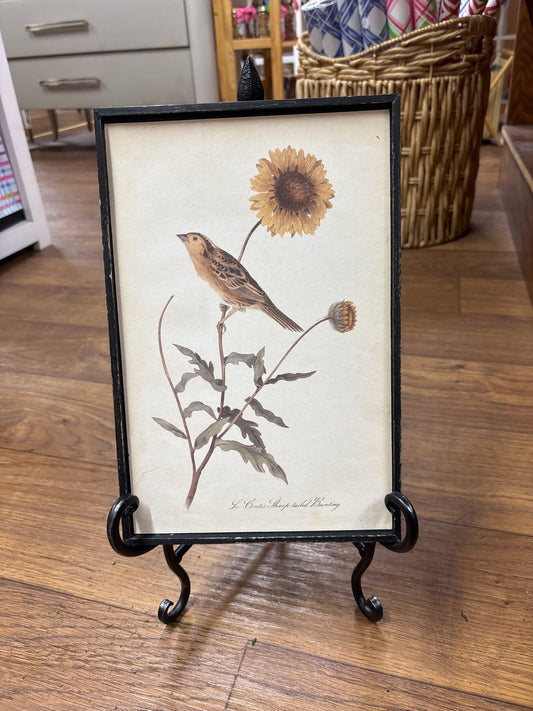 Vintage Bird Artwork