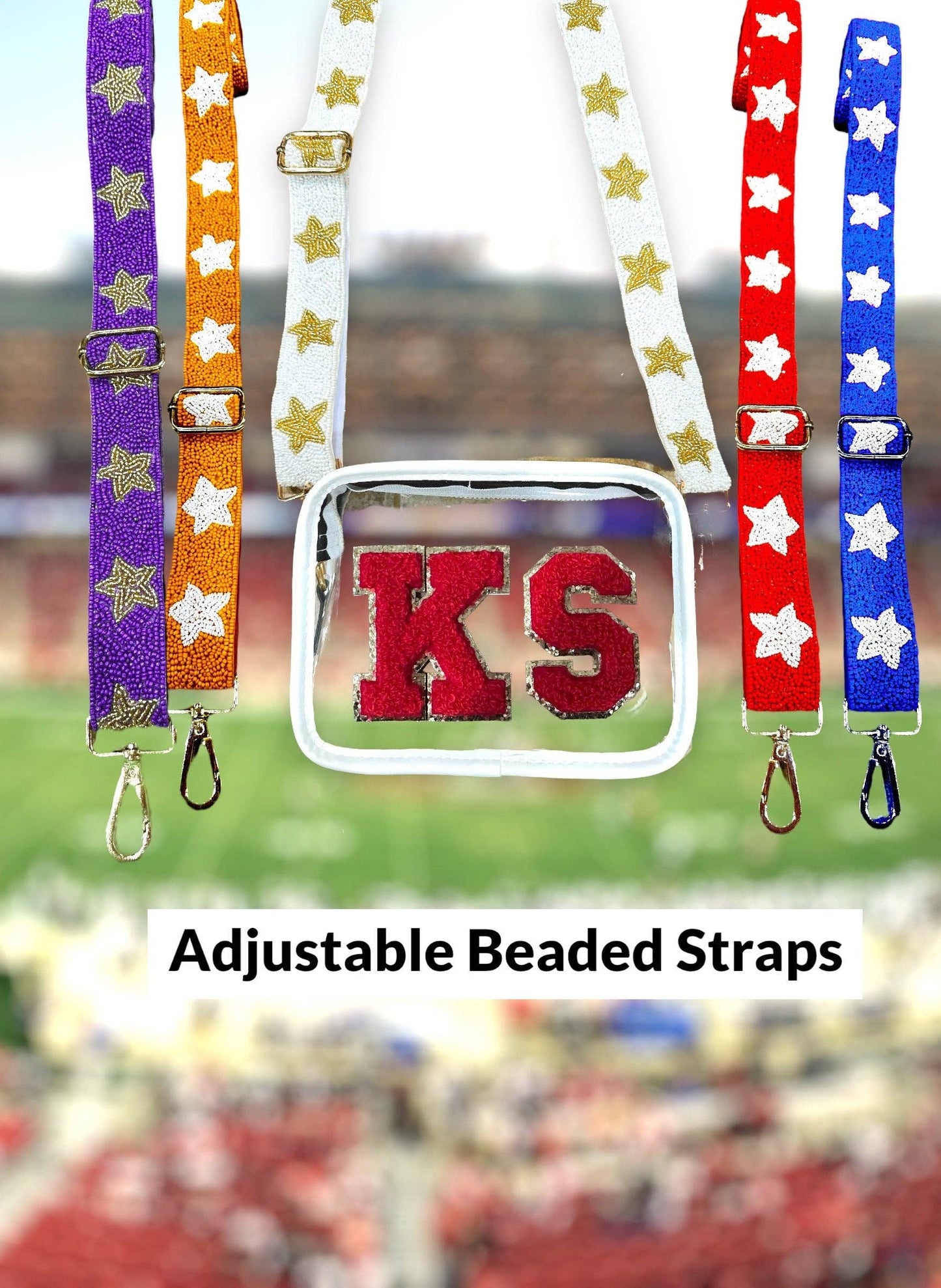 Sequin Purse Strap