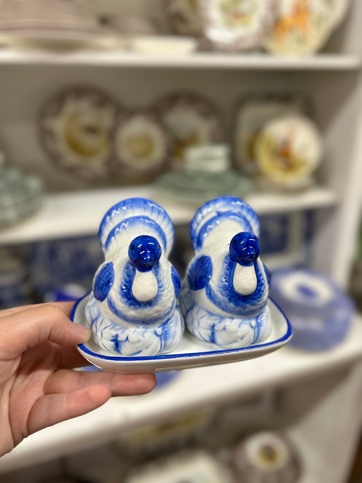 Blue & White Turkey Salt & Pepper Set with Tray