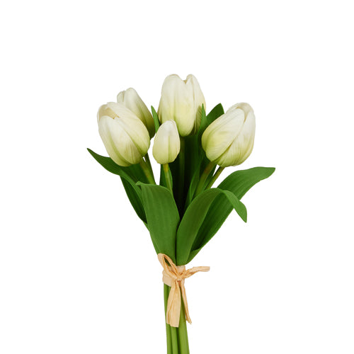 12" White Tulip Bundle