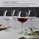 Mikasa Lana 23oz Wine Glass