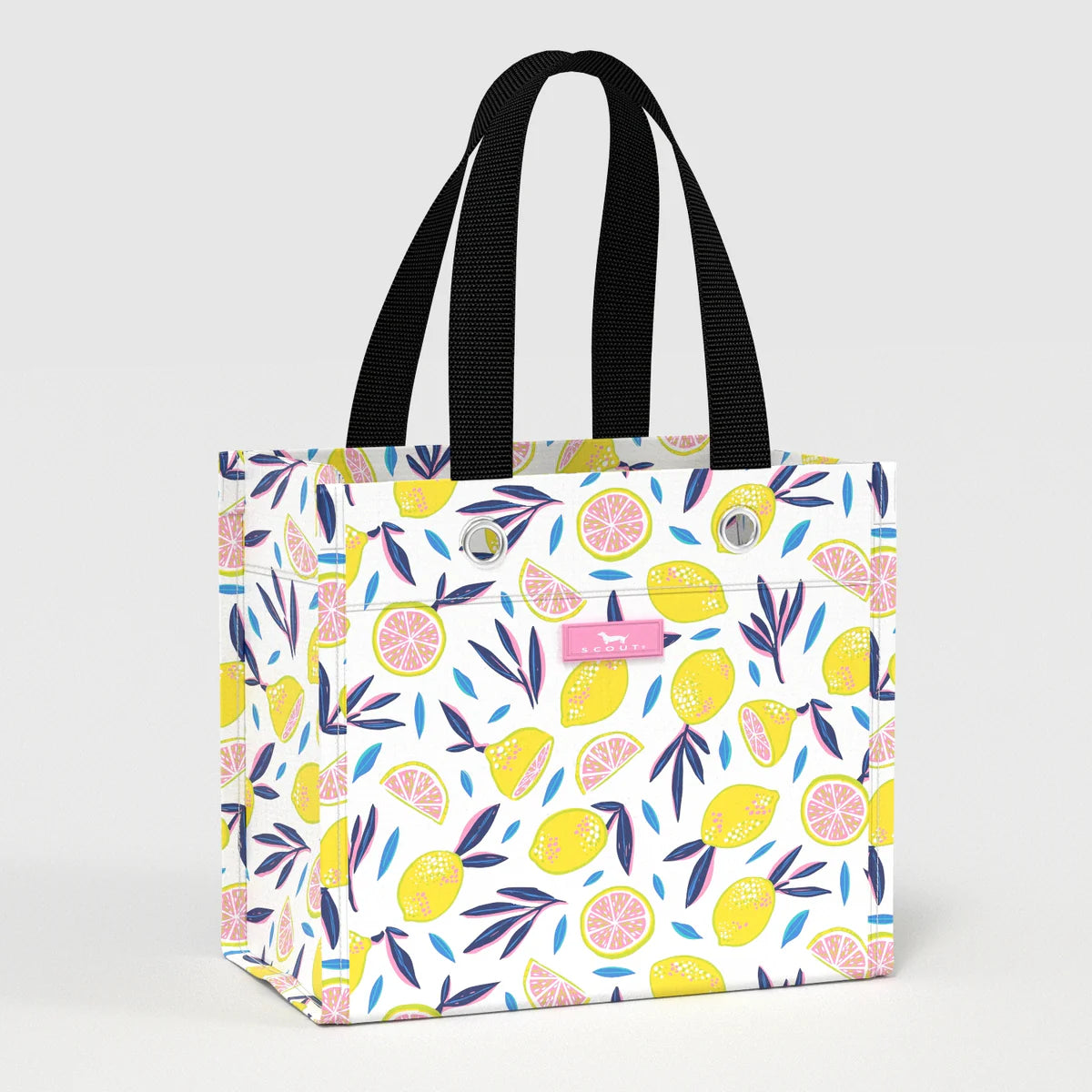 Small Scout Gift Bag-- Spring Collection