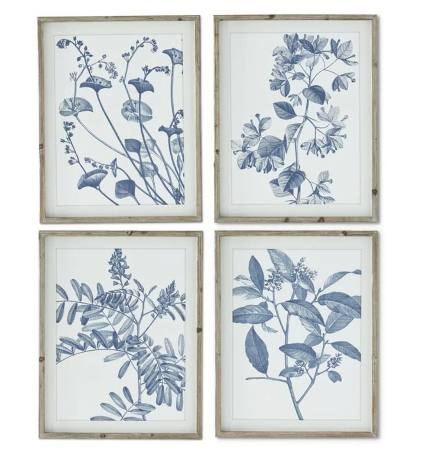 Wood Framed Blue & White Botanical Prints