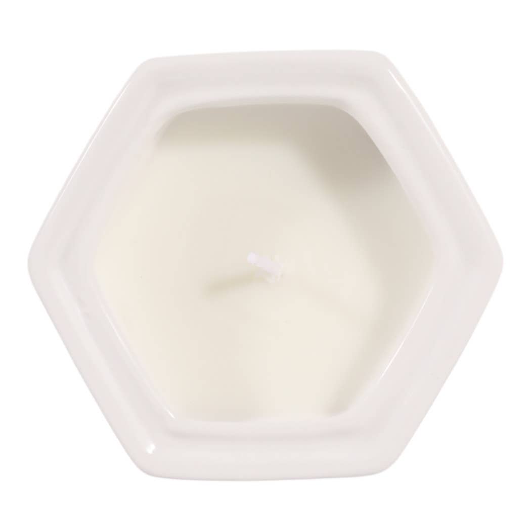 6 oz Green Cermaic Sage & Eucalyptus Candle