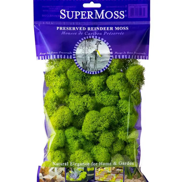 Reindeer Moss Pack