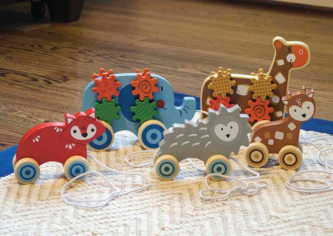 Hedgehog Pull Toy