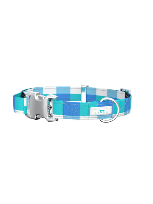 Small Dog Collar - Friend of Dorothy