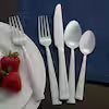 20 pc Dawson Frost Silverware Set